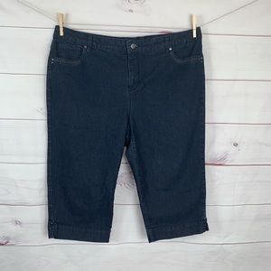 Gloria Vanderbilt Jordyn Capri pants sz 18W